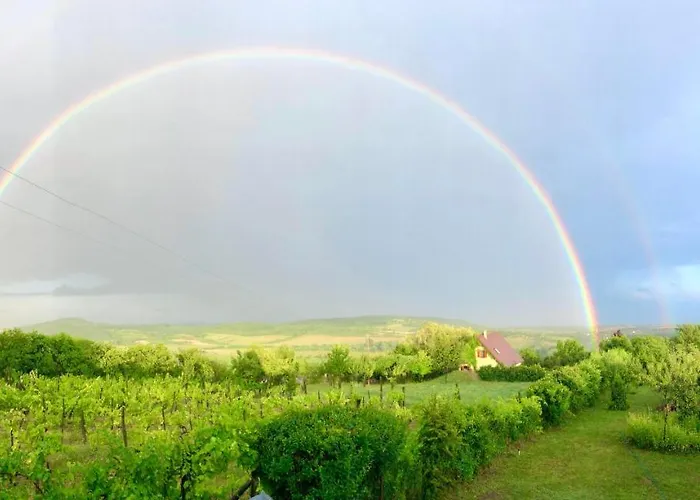 Csicsóka Panoráma Balatoncsicso